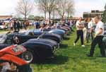 More Cobras
